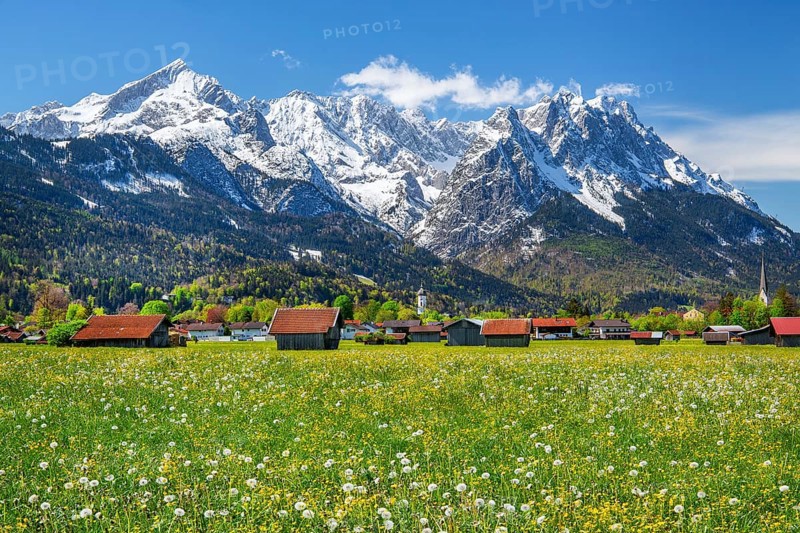 Spring meadow with hay barns at the edge of the village in front of Zugspitzgruppe 2962m in Wetterstein range, Garmisch-Partenkirchen, Loisachtal, Werdenfelser Land, Bavarian Alps, Upper Bavaria, Bavaria, Germany, Europe