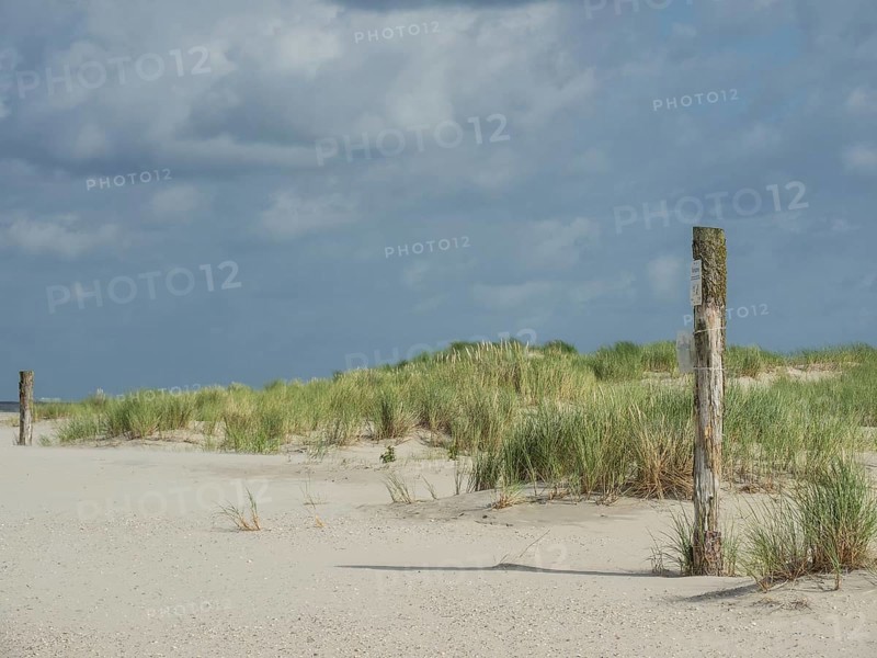 Beach with sandy dunes and cloudy sky, calm and peaceful atmosphere, lonely beach with dune grass in the neighbouring dunes and marker posts, clouds playing in the sky, Spiekeroog, Germany, Europe