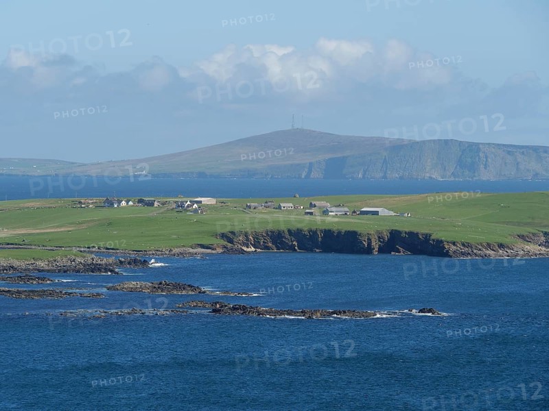 Peaceful coastal landscape with green hills and houses by the blue sea, green meadows by a deep blue sea and a rocky coastline with individual houses, lerwick, shetland, Scotland, United Kingdom, Europe