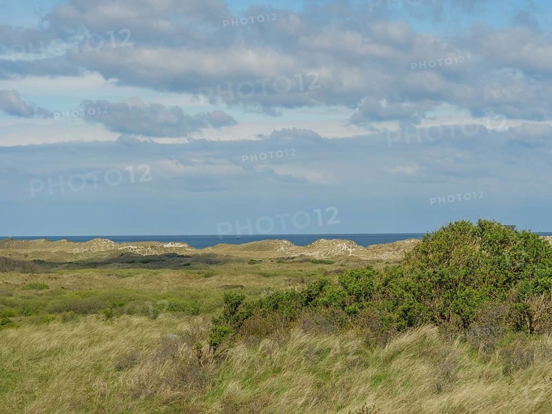 Vast landscape with hills and a view of the sea under a cloudy sky, dune and hiking trails on the Wadden Sea, clouds in the sky, nes, ameland, the netherlands