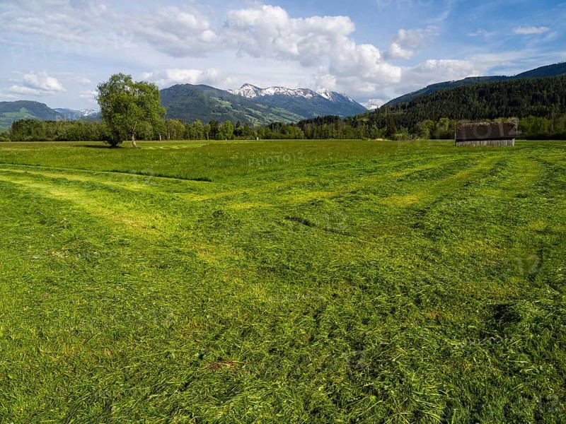 Freshly mown meadow with hay barn, snow-covered mountain peaks behind, near Irdning, Ennstal, Styria