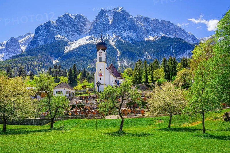 Spring meadow with blossoming trees and parish church in front of the Grosser Waxenstein 2277m in the WettersteingebirgeZugspitzdorf Grainau, Werdenfelser Land, Bavarian Alps, Upper Bavaria, Bavaria, Germany, Europe