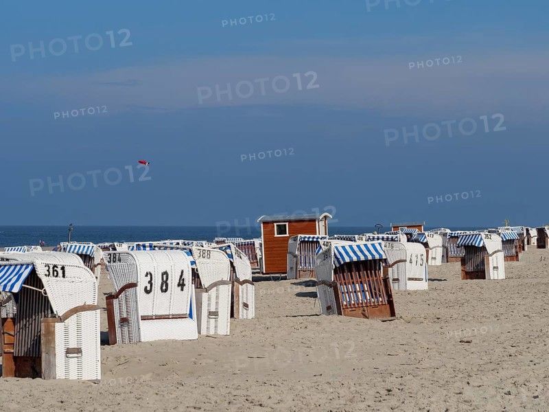 Sandy beach with many white beach chairs, some numbered, blue sky, dunes and beach at the sea with dune grass and beach chairs in front of blue sky, Spiekeroog, Germany, Europe