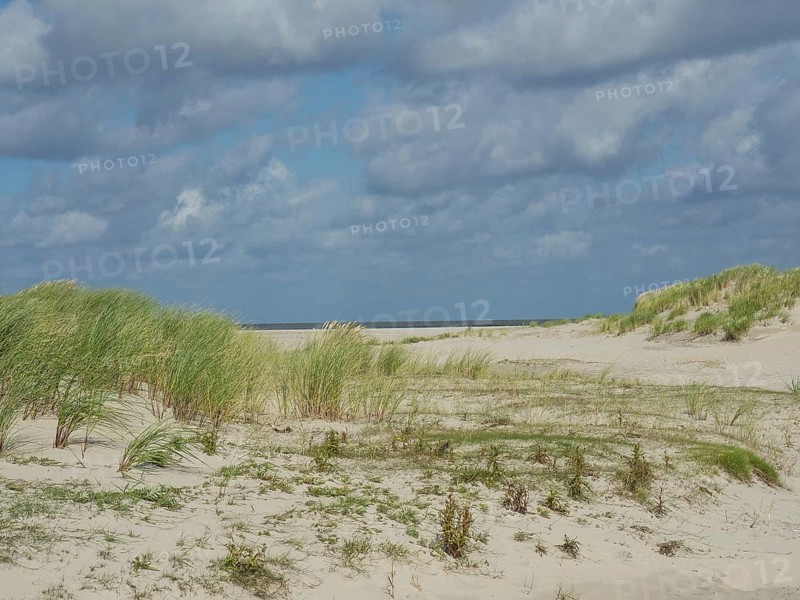Sandy dune landscape with clouds in the sky, quiet and peaceful nature, lonely beach with dune grass in the neighbouring dunes and marker posts, clouds playing in the sky, Spiekeroog, Germany, Europe
