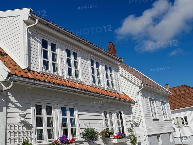 White house with red tiled roof, blooming flowers in the foreground under blue sky, white wooden houses with red roof in front of blue sky, trees and white fences on the street, stavanger, norway