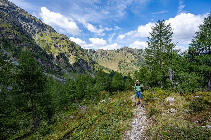 Mountaineer on a hiking trail, mountain landscape with green meadows and larches, Obergailtal, Carnic Main Ridge, Carnic Alps, Carinthia, Austria, Europe