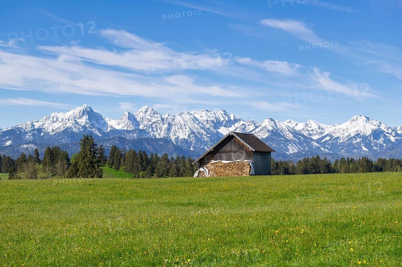 Wooden hut in a meadow near Fuessen, woodpile, Allgaeu Alps, snow, near Buching, Allgaeu, Bavaria, Germany, Europe