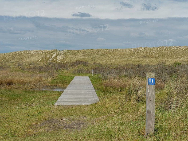 A wooden walkway leads into a dune landscape, next to it a post with a blue sign under a cloudy sky, wooden path through the dune, blue sky with clouds, nes, ameland, netherlands