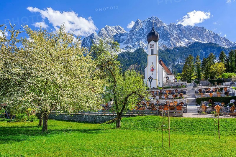 Spring meadow with blossoming trees and parish church in front of the Grosser Waxenstein 2277m in the Wetterstein range, Zugspitz village Grainau, Werdenfelser Land, Bavarian Alps, Upper Bavaria, Bavaria, Germany, Europe