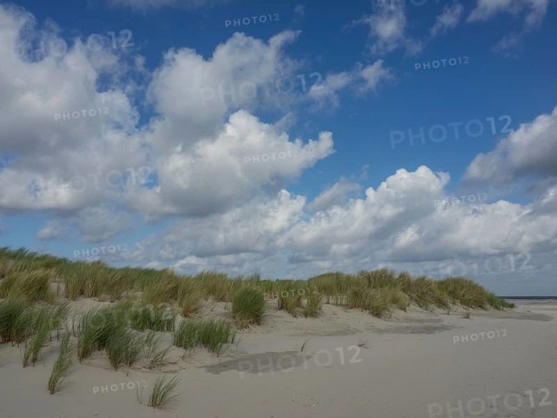 Beach with dunes and grass under a cloudy blue sky, lonely beach with dune grass in the neighbouring dune and marker posts, clouds playing in the sky, Spiekeroog, Germany, Europe
