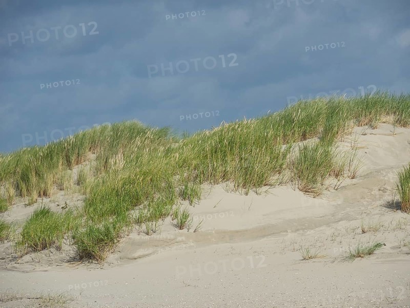Sand dune landscape under cloudy sky, quiet and peaceful nature, lonely beach with dune grass in the neighbouring dune and marker posts, clouds playing in the sky, Spiekeroog, Germany, Europe