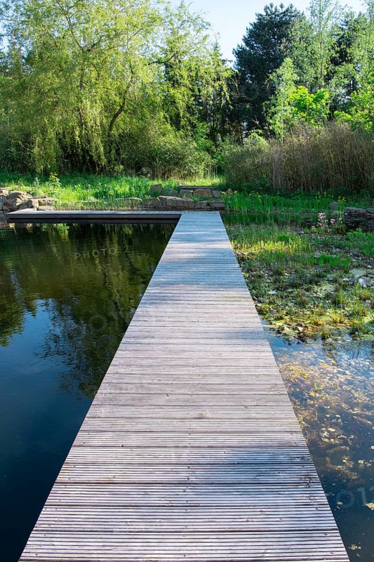 Footbridge at the pond in the natural garden, practical nature conservation, biotope for insects, amphibians and birds, swimming pond with near-natural water edge design, Germany, Europe