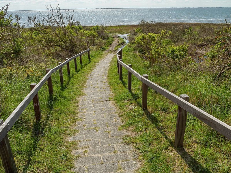 Stone path leads through a meadow to the sea under a clear sky, dune and beach by the sea with footpaths, grass and lots of sand, nes ameland, the netherlands