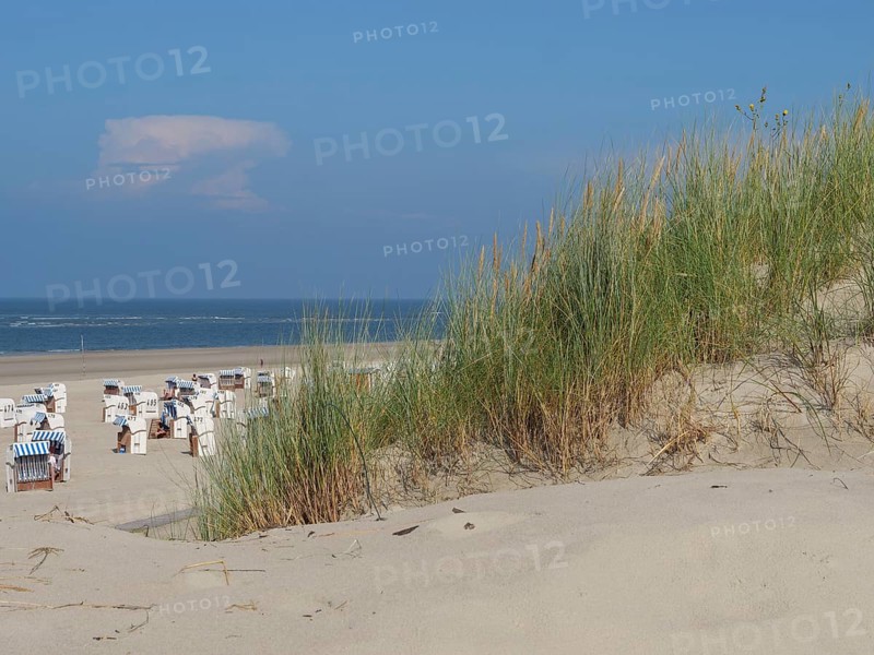 Beach chairs on the sandy dune edge in front of a clear blue sky and sea, dunes and beach at the sea with dune grass and beach chairs in front of a blue sky, Spiekeroog, Germany, Europe