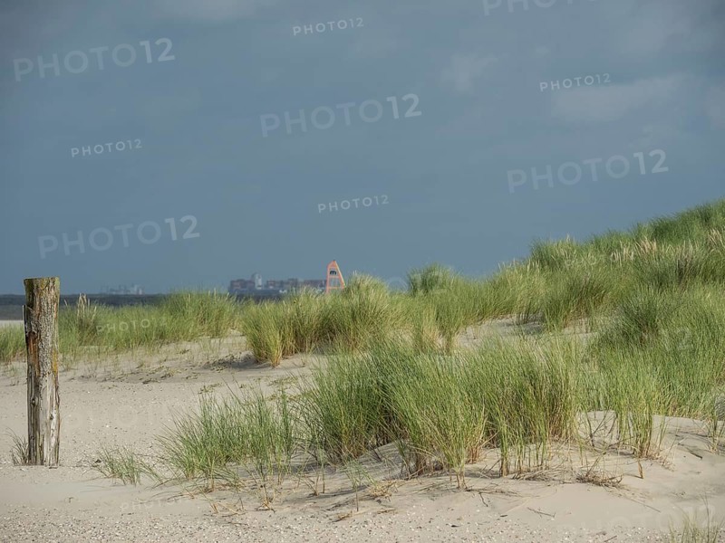 Sand dunes with grass and scattered posts, dark clouds gathering, lonely beach with dune grass in the neighbouring dunes and marker posts, clouds playing in the sky, Spiekeroog, Germany, Europe