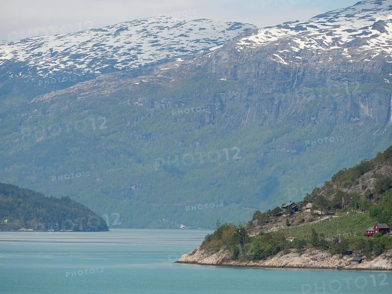 A calm lakeshore with mountains and wooded hills, under a clear blue sky with clouds, greenish shimmering water in a fjord with snow-capped mountains and green trees, eidfjord, Norway, Europe