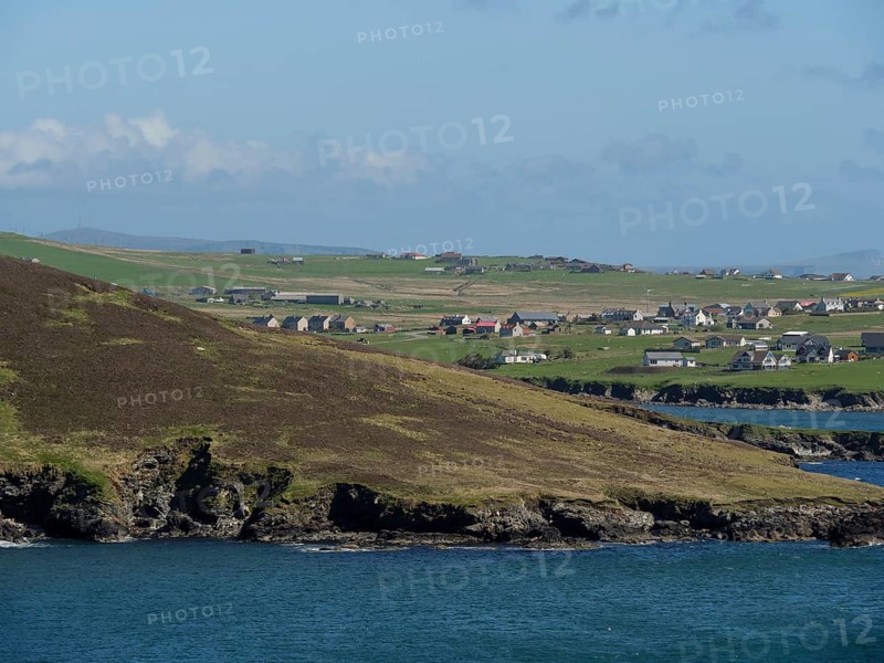 Green fields and houses on a rocky coastline overlooking the sea, green meadows on a deep blue sea and a rocky coastline with individual houses, lerwick, shetland, Scotland, United Kingdom, Europe