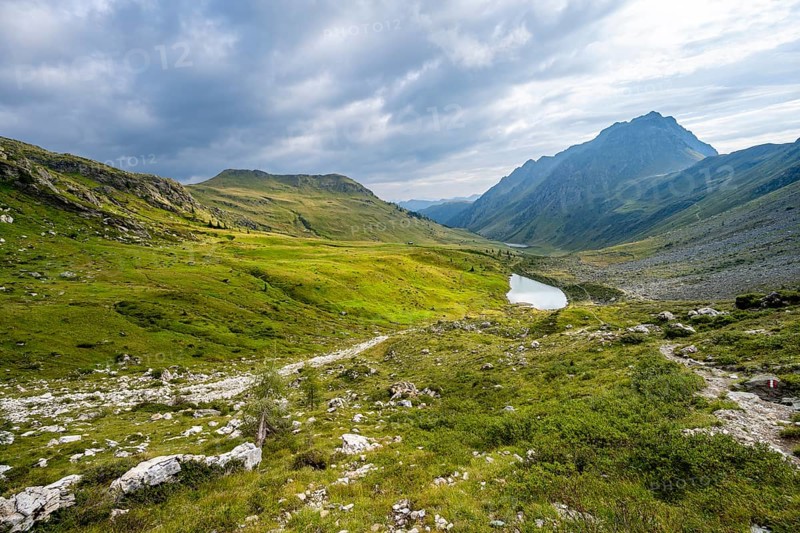 Mountain lake between green mountain meadows in a mountain valley, Oberer Stuckensee in the upper Leitner valley, Carnic High Trail, Carnic Alps, Carinthia, Austria, Europe