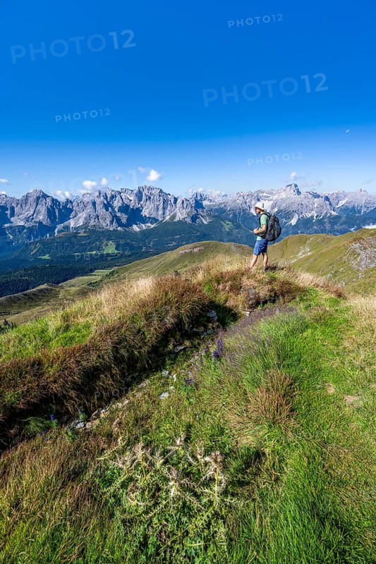 Mountaineers on a hiking trail between green mountain meadows, mountain panorama, view of rocky mountain peaks of the Sesto Dolomites, Carnic Main Ridge, Carnic High Trail, Carnic Alps, Carinthia, Austria, Europe