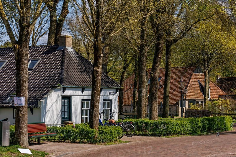 Houses along a tree-lined street with bicycles and benches in a quiet, green neighbourhood, historic houses and a church with small streets and lanterns, Nes, Ameland, Netherlands