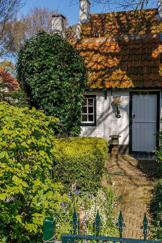 Entrance of a house surrounded by a garden with trees and hedges in spring, brick path, historic houses in a small village with small streets and trees in spring, Nes, Ameland, Netherlands