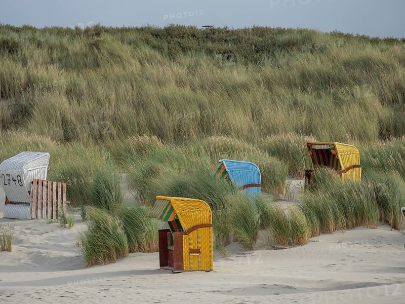 Beach chairs along the dunes, surrounded by tall grasses leading to a path, colourful beach chairs on the beach and in the dunes under cloudy skies, red wooden boat and yellow beach chair, Juist, Germany, Europe