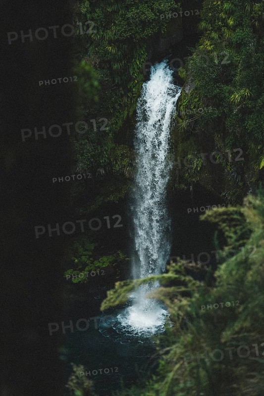 Omanawa Falls waterfall near Tauranga, New Zealand. Tropical nature surrounds the waterfall