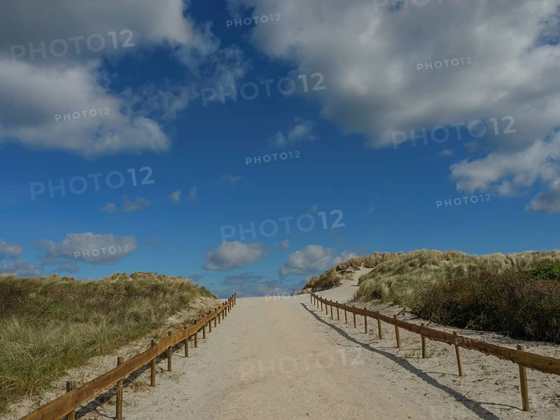 A wide sandy path leads through the dunes, surrounded by a clear blue sky and clouds, dunes by the sea with clouds in the blue sky, nes, ameland, the netherlands