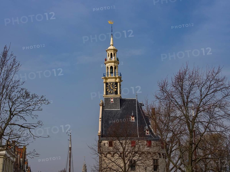 Historic clock tower with trees and blue sky in the background, tower with a golden spire and a large clock in front of a blue sky, hoorn, the netherlands