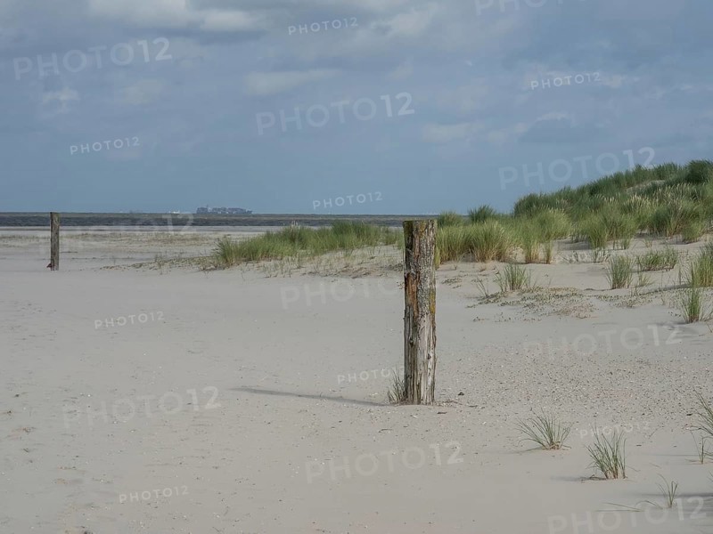 Beach with grassy dunes and old wooden posts under a cloudy sky, lonely beach with dune grass in the neighbouring dune and marker posts, clouds playing in the sky, Spiekeroog, Germany, Europe