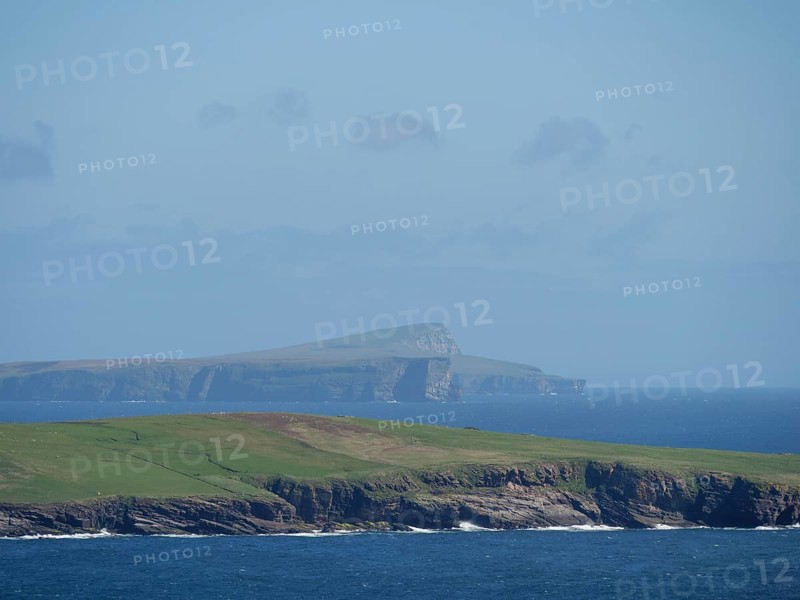 Grassy cliffs jutting into the azure sea with a distant island in the background, green meadows on a deep blue sea and a rocky coastline with individual houses, lerwick, shetland, Scotland, United Kingdom, Europe