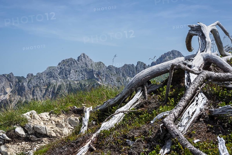Mountain panorama from the Krinnenspitze, 2000m, behind Friedberger Klettersteig, Rote Flueh, 2108m, Gimpel, 2173m and Koellenspitze, 2238m, Tannheimer Berge, Allgaeu Alps, Tyrol, Austria, Europe