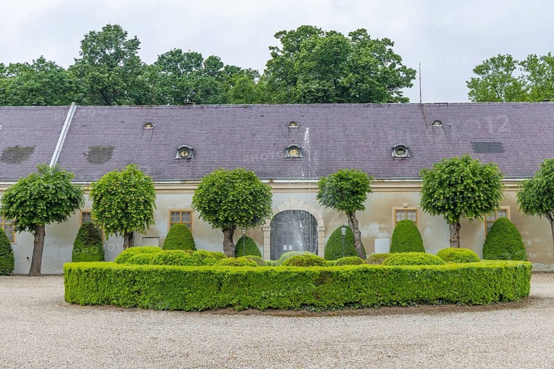 Halbturn Castle, Halbturn, castle park, avenue, Austria, Europe