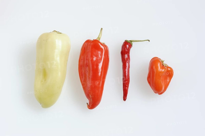 Paprika (Capsicum annuum) and chilli (Capsicum frutescens) on a white background, pepper, pepper, chilli pepper, chilli pepper