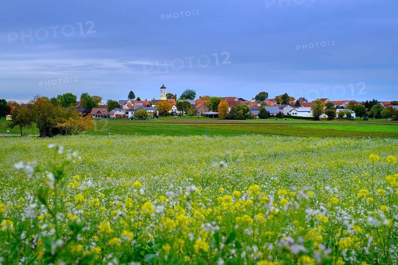 Goldburghausen, Ries, Noerdlinger Ries, Ostalbkreis, Baden-Wuerttemberg, Germany, Europe