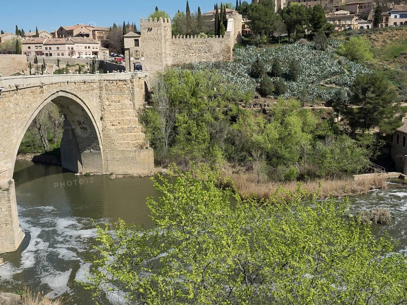 Stone bridge over a river surrounded by green trees and historic architecture under a blue sky, historic stone bridge with an old tower and an old town in the background over a wild river, Toledo, Spain, Europe