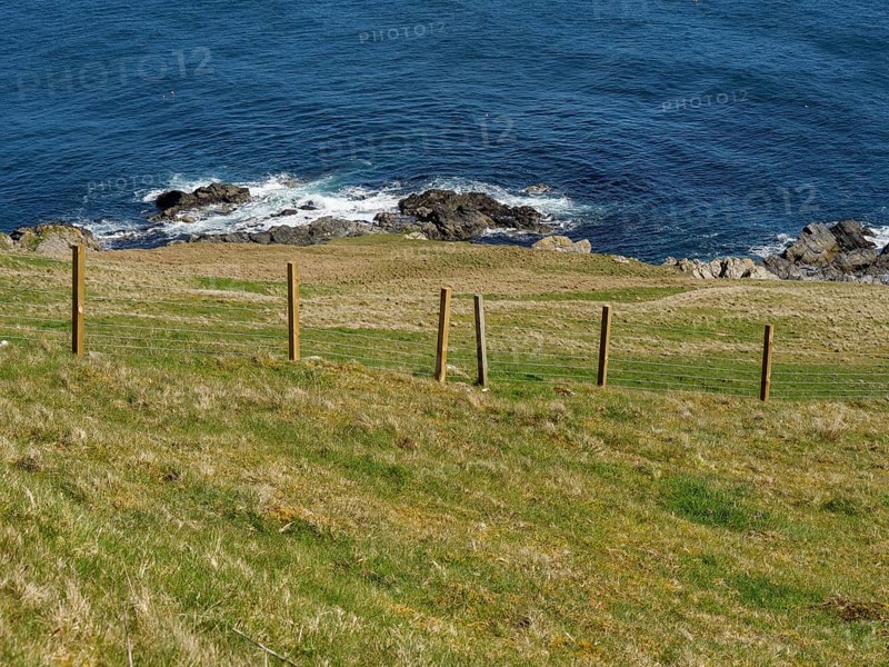 Fence along a grassy hillside overlooking the blue sea, green meadows on a deep blue sea and a rocky coastline with individual houses, lerwick, shetland, Scotland, United Kingdom, Europe