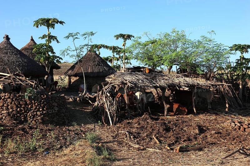South Ethiopia, a village of the Konso people, Ethiopia, Africa