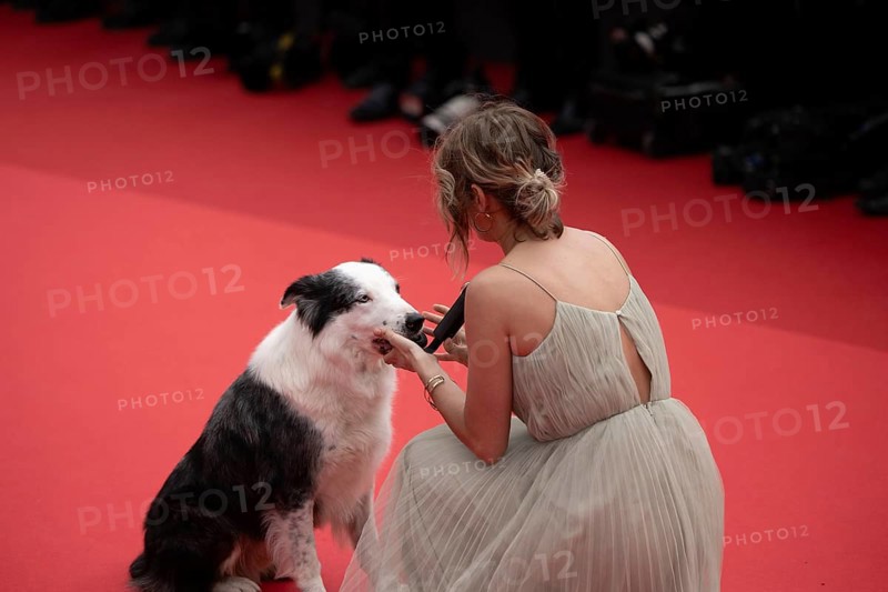 Cannes, France, 14 May 2024: Laura Martin Contini and Messi the Dog during the opening of the 77th Cannes International Film Festival. The 77th Cannes International Film Festival will take place from 14 to 25 May 2024, Europe