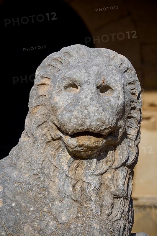 Portrait of a stone lion statue with sculptural details, outdoor area, Archaeological Museum, Old Town, Rhodes Town, Rhodes, Dodecanese, Greek Islands, Greece, Europe