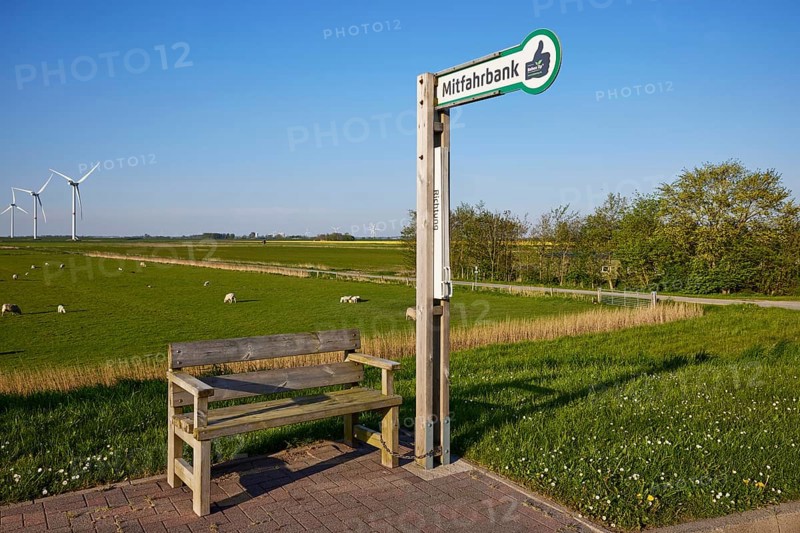 Carpooling bench in the marsh landscape with sheep and wind turbines near Simonsberg, Nordfriesland district, Schleswig-Holstein, Germany, Europe