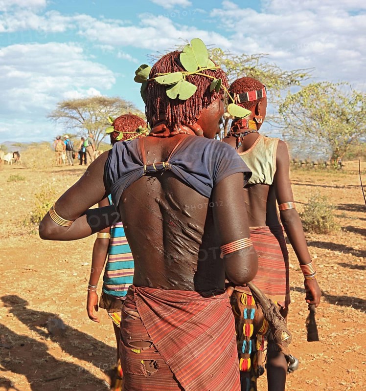 South Ethiopia, Omo region, among the Hamar tribe, Hamer, Hamma, Hammer, Amar or Amer, meeting for initiation rituals, ceremony, bull jumping, woman with scars on their backs from the flogging ritual, Ethiopia, Africa