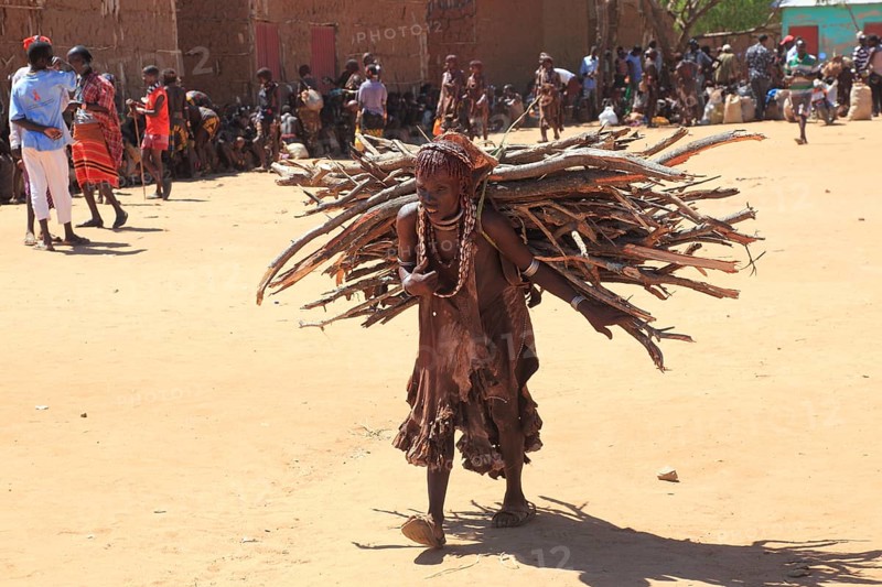 Southern Ethiopia, Omo region, market in the village of Turmi, the Hamar tribe, Hamer, Hamma, Hammer, Amar or Amer, man with firewood, Ethiopia, Africa