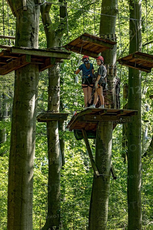 Group of young woman, girls climbing in the climbing forest, platforms, ropes, rope ladders, beech trees, beech forest, excursion, summit mountain Hoherodskopf, Tertiary volcano, Schotten, Vogelsberg Volcanic Region nature park Park, Hesse, Germany, Europe