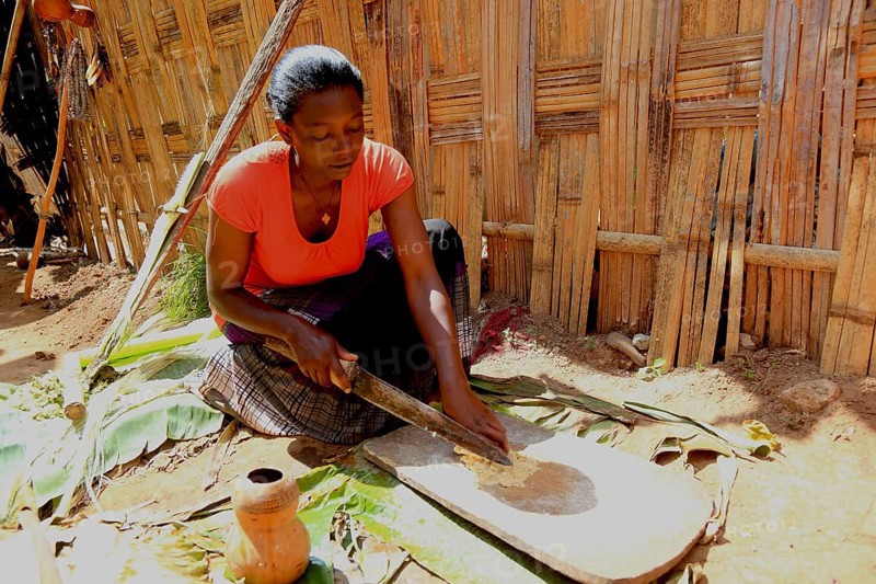 South Ethiopia, among the Dorze people, woman processes the mass of the ground false banana, which is fermented and processed into flatbread, Ethiopia, Africa
