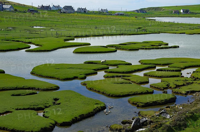 Small green islands in a vast tidal landscape, water birds, Isle of Harris, Hebrides, Scotland, Great Britain