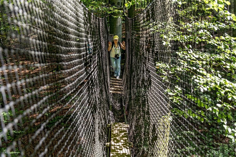 Sporty woman, tourist with camera in treetop path, suspension bridges, ropes, nets, beech forest, excursion, summit mountain Hoherodskopf, Tertiary volcano, Schotten, Vogelsberg Volcanic Region nature park Park, Hesse, Germany, Europe