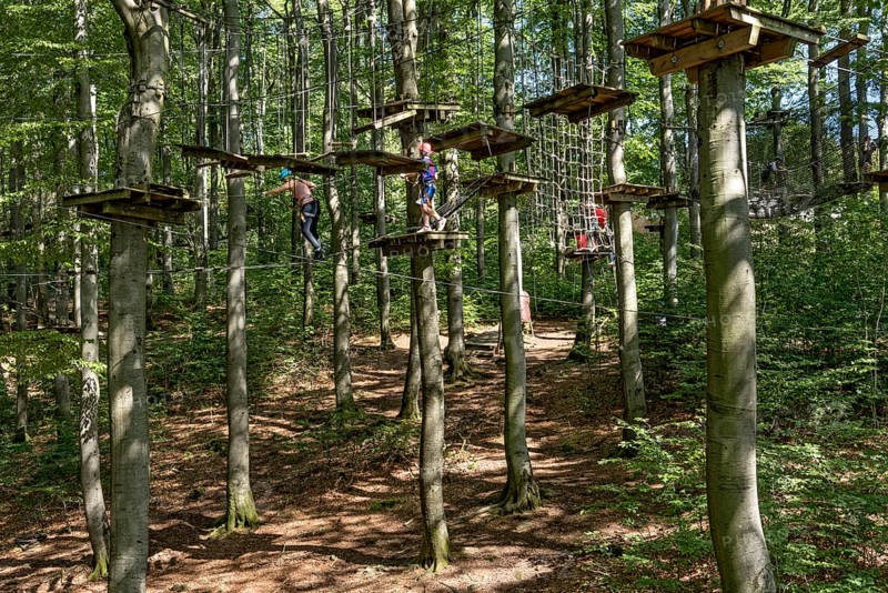 Woman and boy climbing in the climbing forest, platforms, ropes, rope ladders, suspension bridges, beech trees, beech forest, family outing, Hoherodskopf summit, Tertiary volcano, Schotten, Vogelsberg Volcanic Region nature park Park, Hesse, Germany, Europe