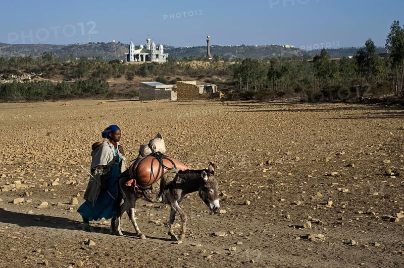Tigray woman coming back from the market, Mekele, Tigray state, Ethiopia. She is walking in a barren patch of land. Her donkey is carrying a sack of grain