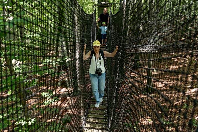 Sporty woman, tourist with camera in treetop path, suspension bridges, ropes, nets, beech forest, family excursion, summit mountain Hoherodskopf, tertiary volcano, Schotten, Vogelsberg Volcano Region nature park Park, Hesse, Germany, Europe